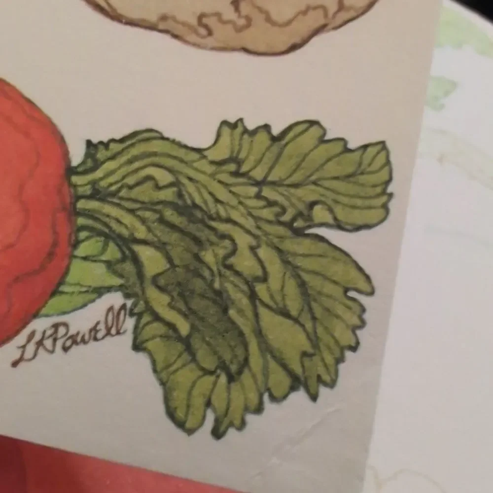 Vintage MCM Vegetable‎ Lk Powell Art Paper Stationary Lot Fold A Note